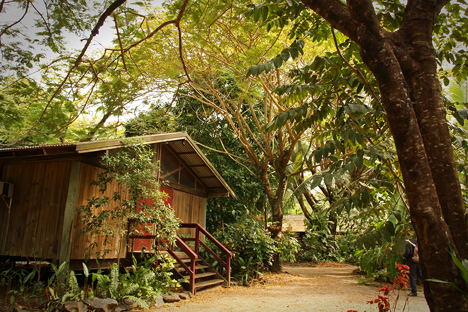 cape-tribulation-australie-09