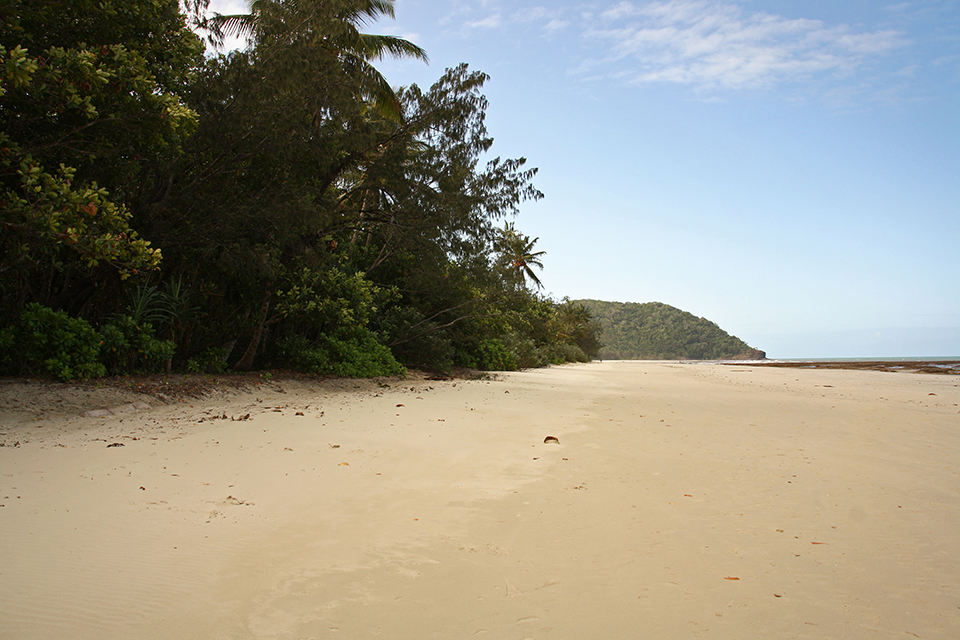 cape-tribulation-australie-11