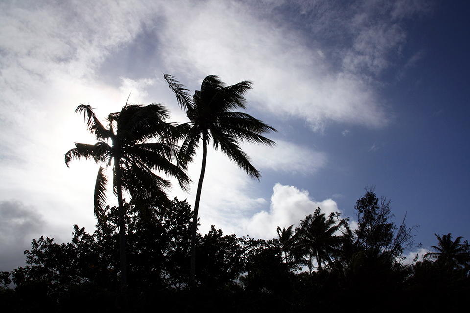 cape-tribulation-australie-18