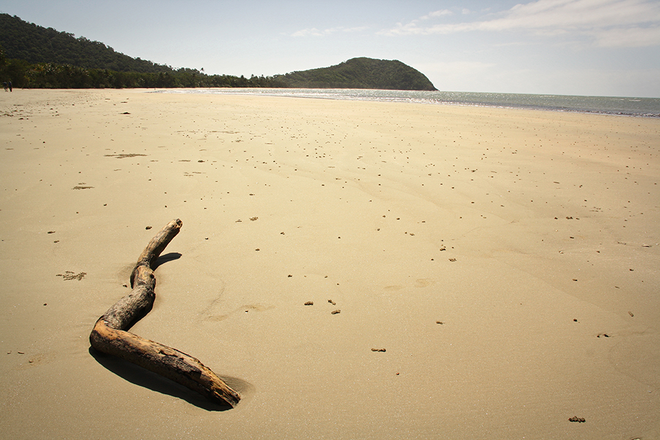 cape-tribulation-australie-31