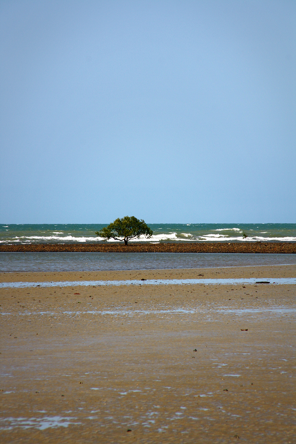 cape-tribulation-australie-32