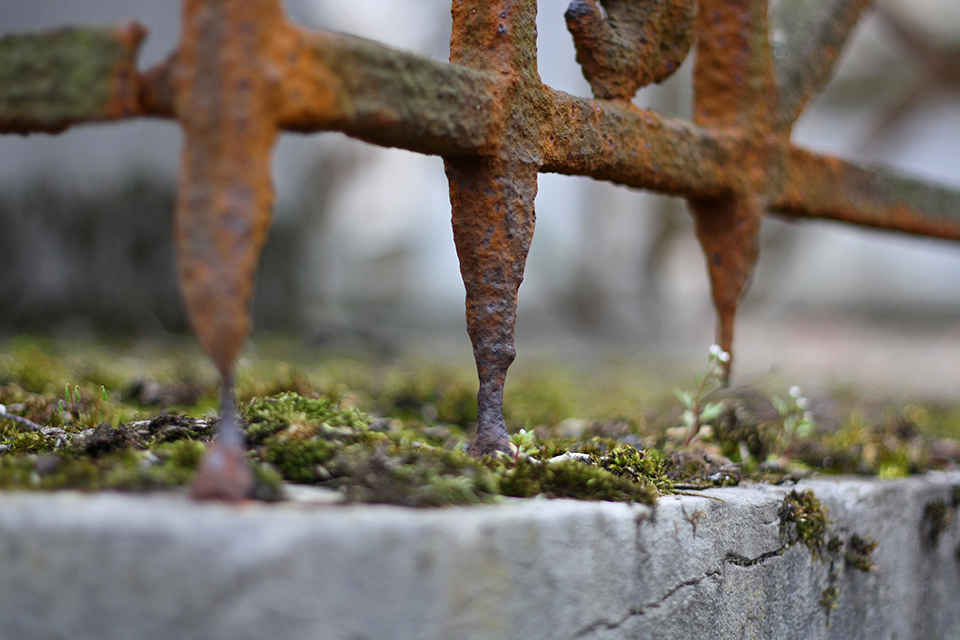 cimetiere-pere-lachaise-paris-65