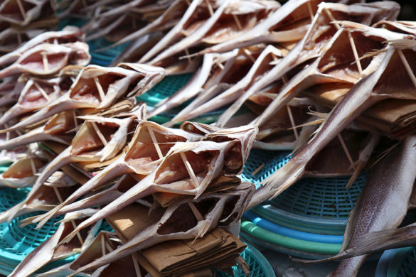 Jagalchi Fish Market Busan