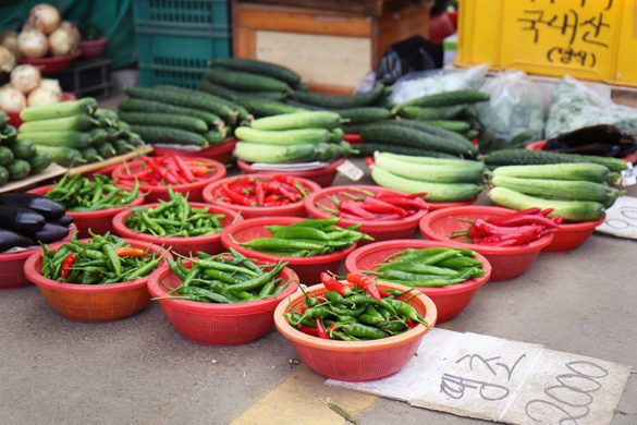 Jagalchi Fish Market Busan