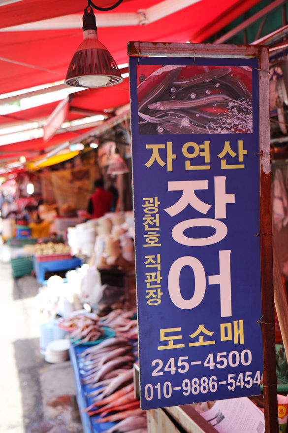Jagalchi Fish Market Busan