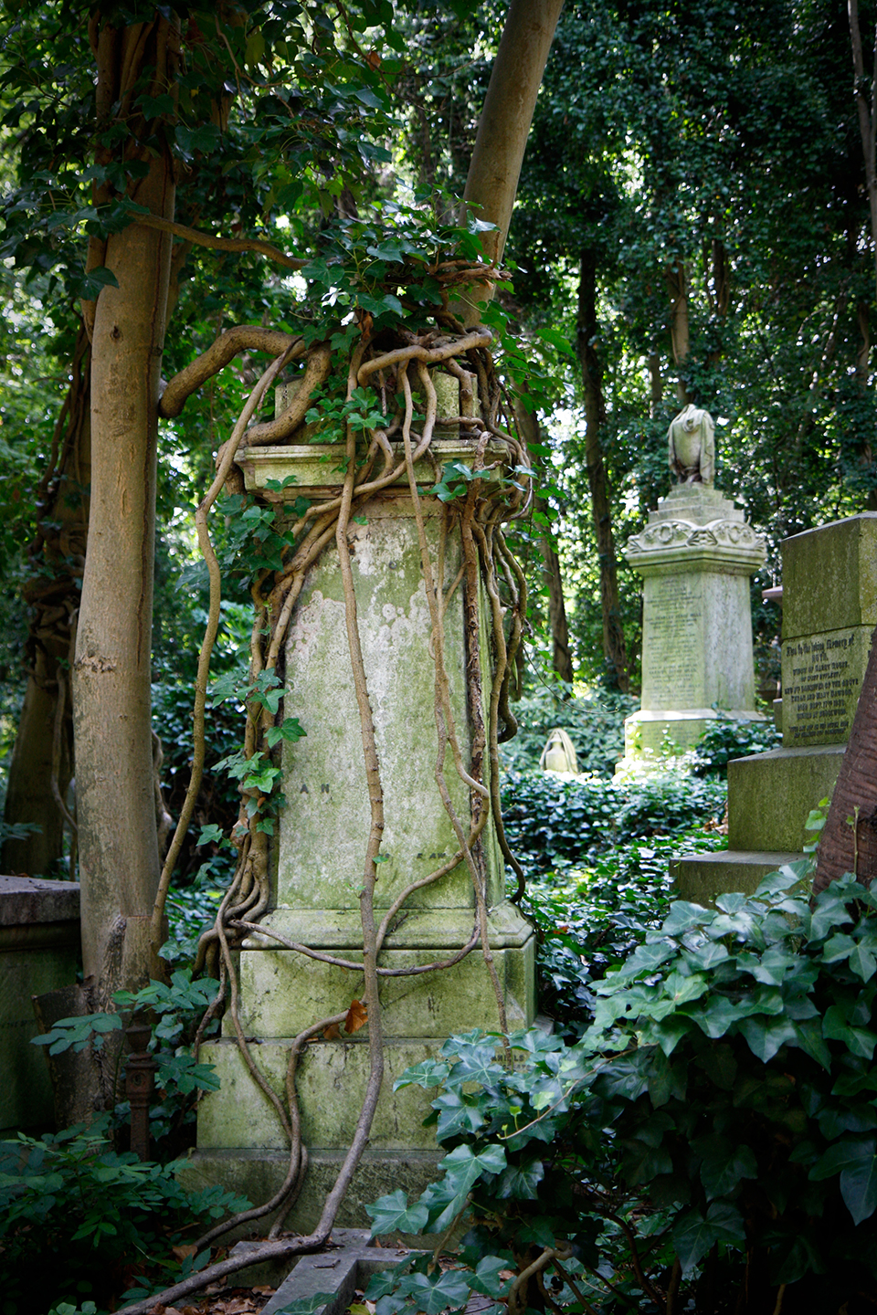 london-highgate-cemetery-west-9223-mod