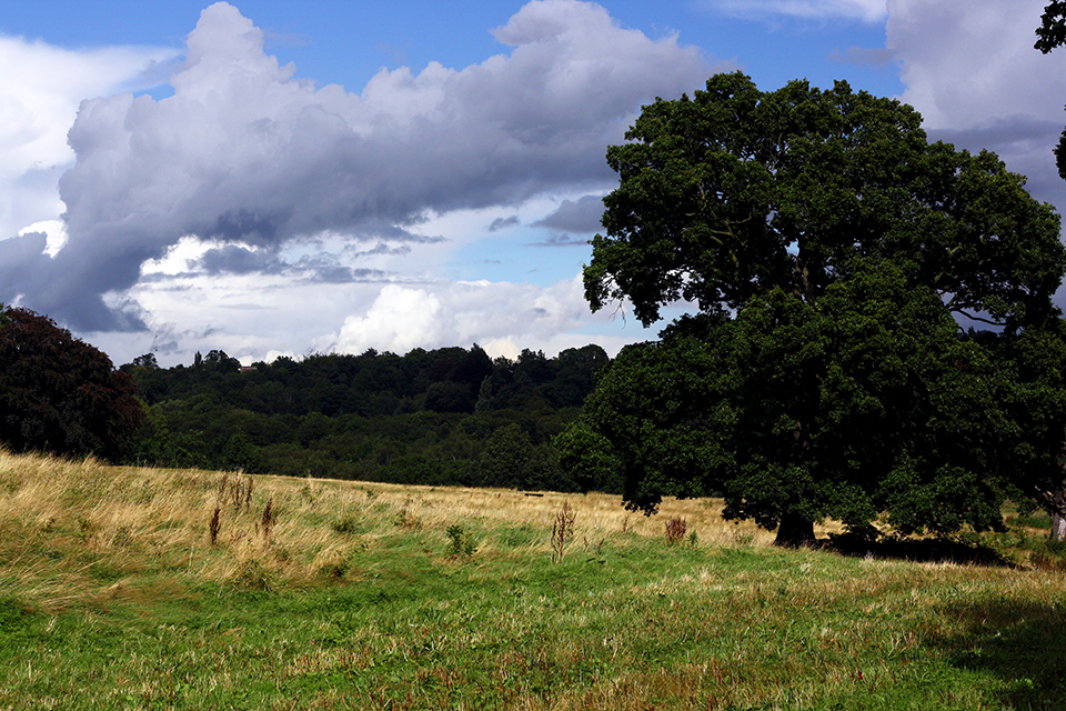 londres-hampstead-heath-07