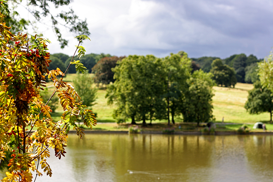 londres-hampstead-heath-12