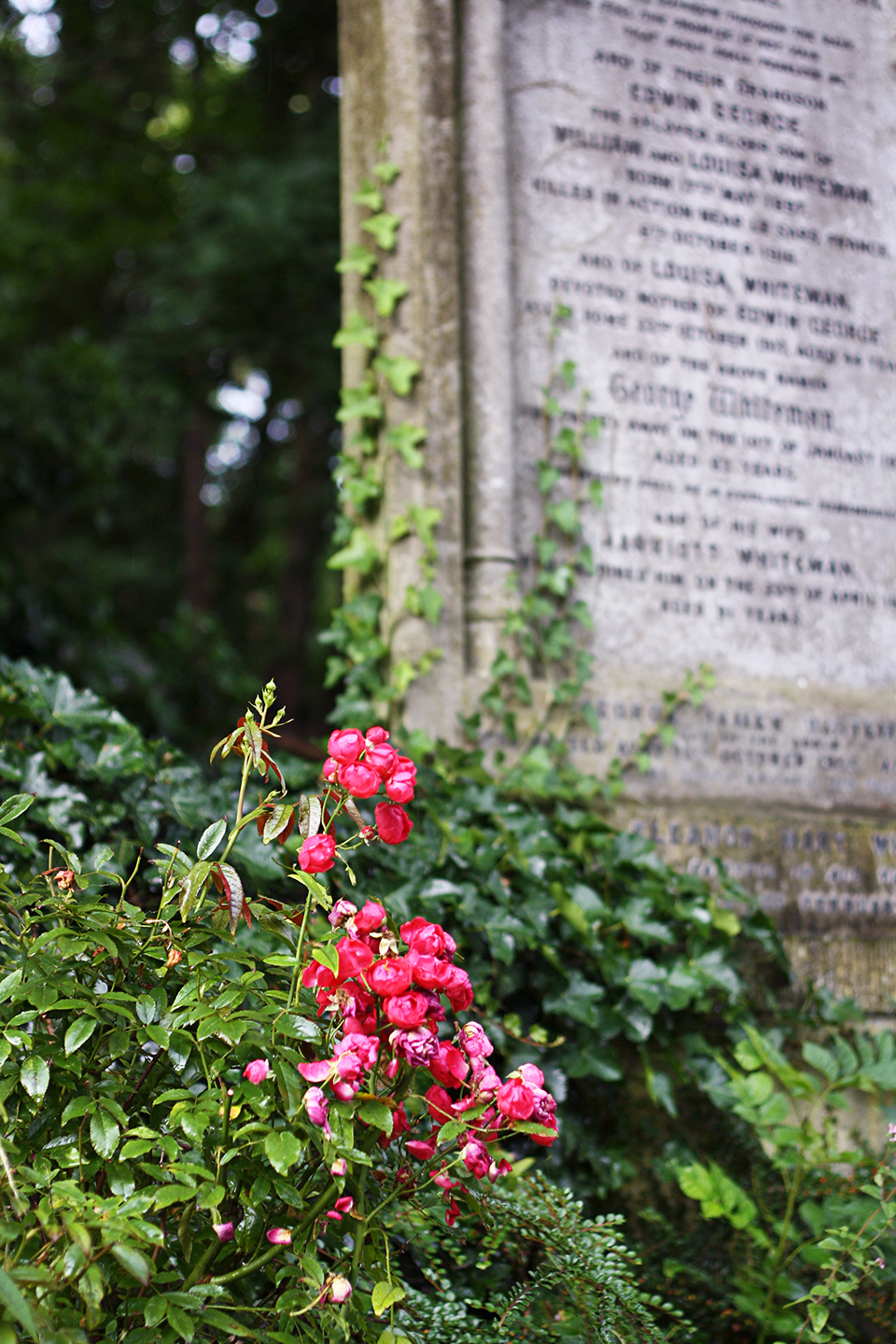 londres-highgate-cemetery-18