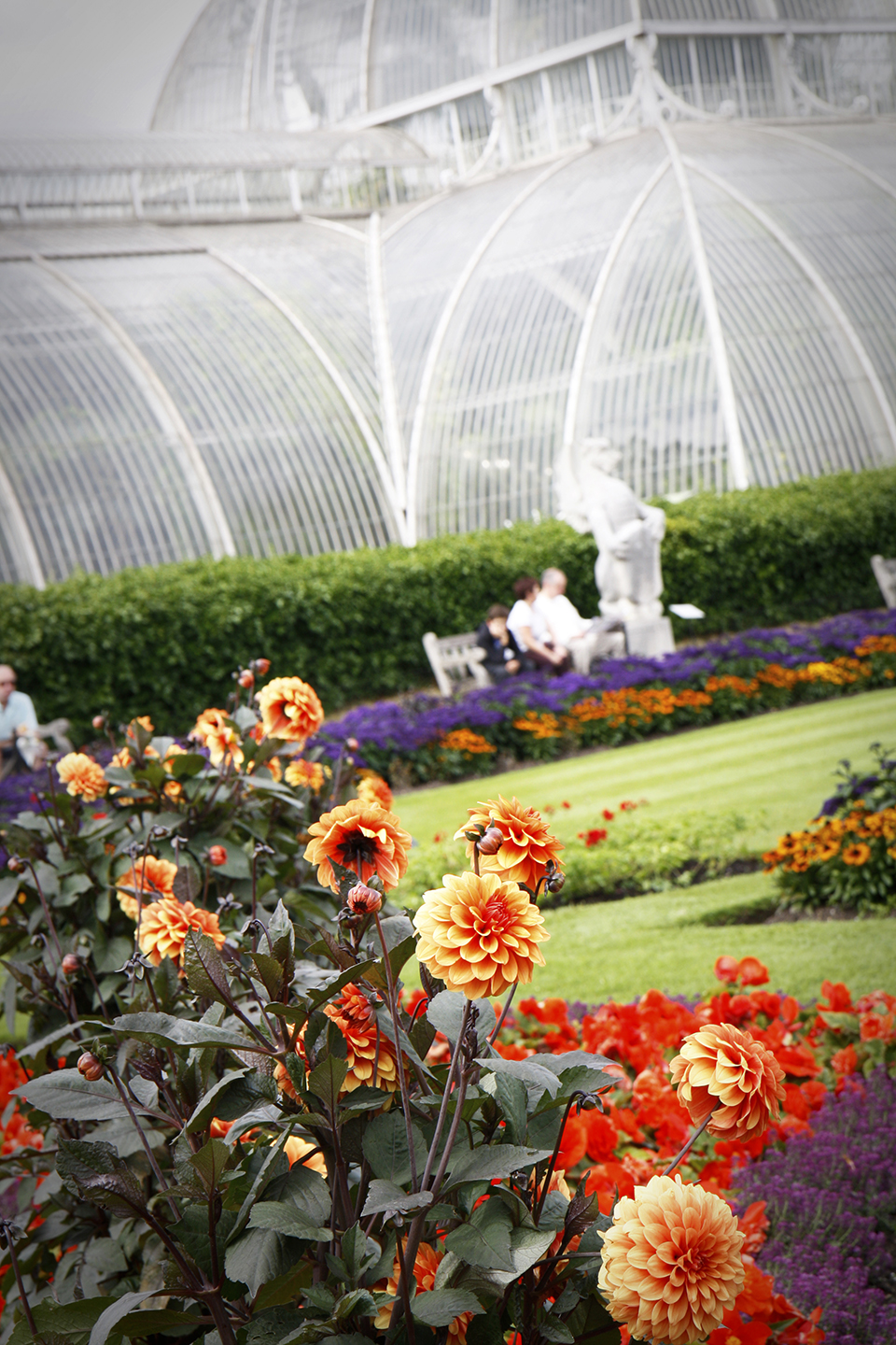 Londres : les kew gardens ginger pixel