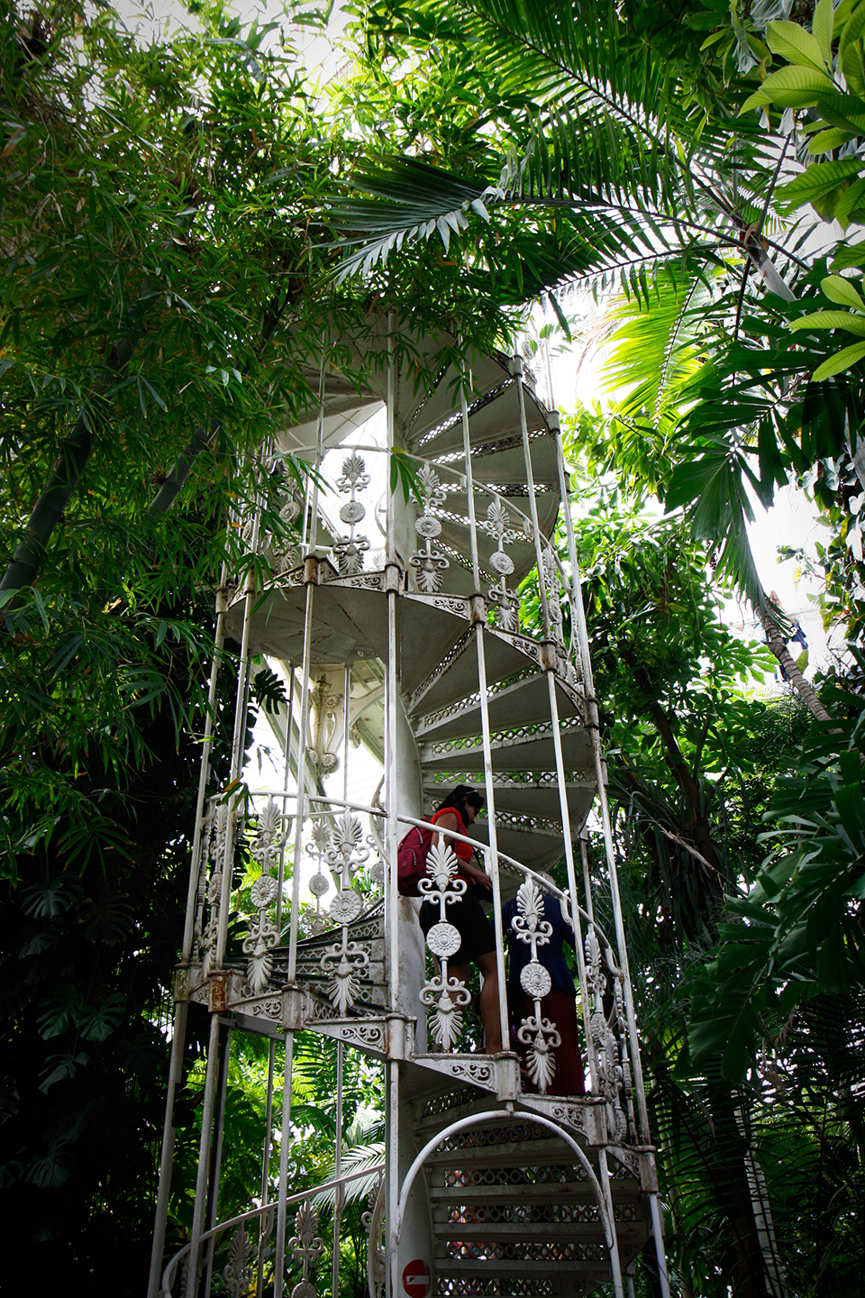 Londres : les kew gardens ginger pixel
