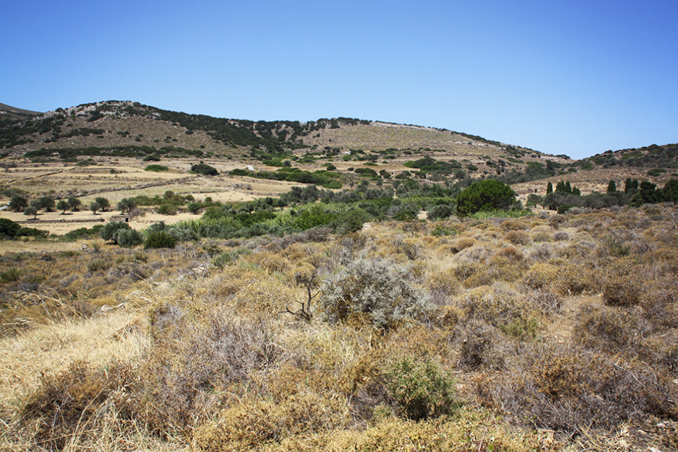 naxos-grece-cyclades-35