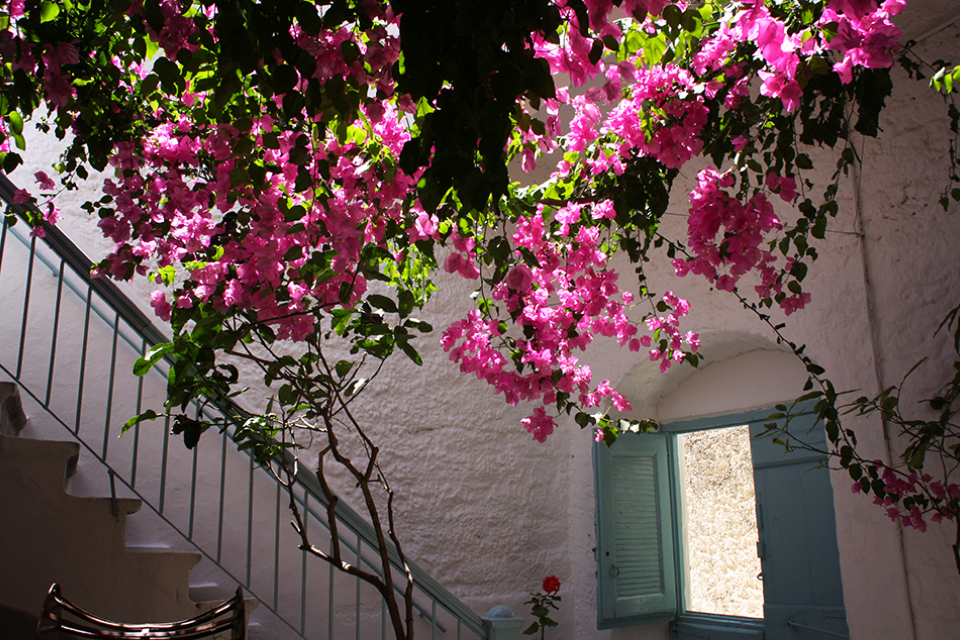 naxos-grece-cyclades-39