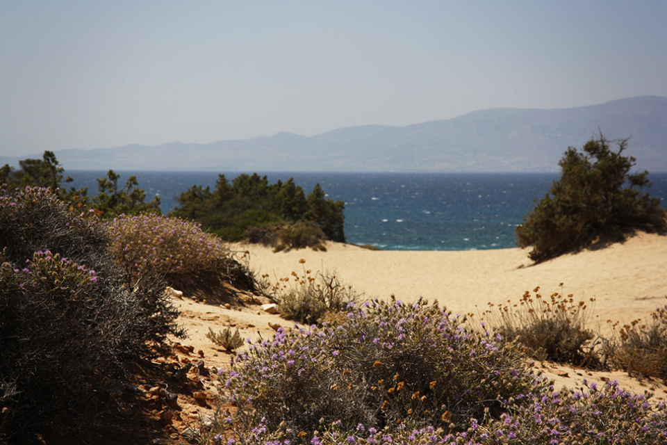 naxos-grece-cyclades-49