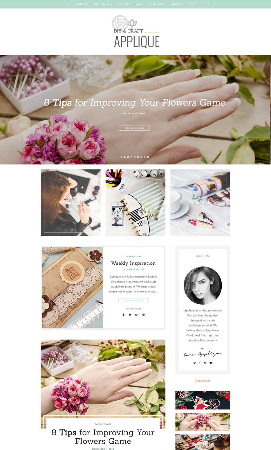 theme wordpress applique